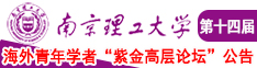 白浆穴南京理工大学第十四届海外青年学者紫金论坛诚邀海内外英才！